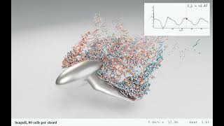 Seagull in Flapping Flight, 519 Million Cells | MFC
