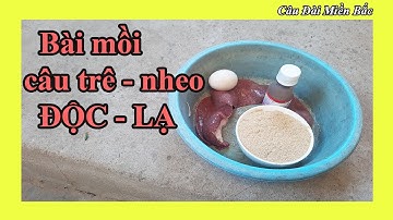 Bài Mồi Câu Cá Trê - Nheo Độc Lạ, Hiệu Quả Nhờ Có Mùi Đặc Biệt | Câu Đài Miền Bắc