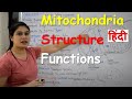 Mitochondria in Hindi | Cell Organelles | Structure | Functions