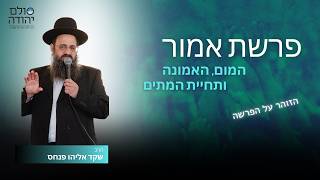 פרשת אמור - מהו פגם באמונה? הרב שקד אליהו פנחס מבאר | סולם יהודה
