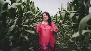 Download Lagu Elvyra - Seneliui (2025) MP3