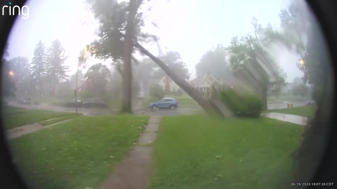 VIDEO | Tree damage from storms on June 26 in Kansas City, Missouri ...