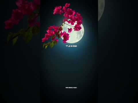 MERA DIL TUJSE✨ aesthetic lyrics video 🌿l status video for whatsapp😍 #shorts #exploremore #explore