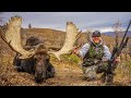 "Grind" - Once in a Lifetime Shiras Moose Hunt