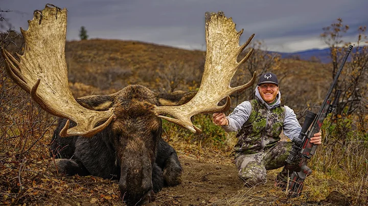 ONCE in a LIFETIME Utah Moose Hunt!