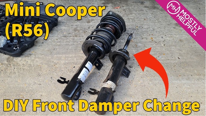 Hol mushuklar onlayn video