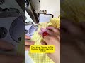 High-elastic yarn makes clothes, cuffs, dresses, and waists look amazing #homemaking #homecrafts
