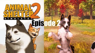 Animal Shelter Simulator 2 Episode 2 - LORD CORGI