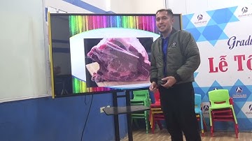 ASUP2B PHIL- UNIT 7-Lessons 1The sound of 