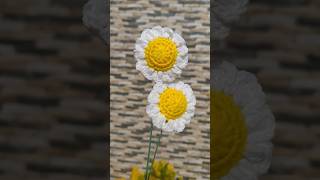 daisy flower crochet #crochet #handmade #crochetpatterns #diy #crochetindia #crochetprojects
