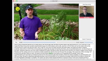 VidCrit: Video-based Asynchronous Video Review