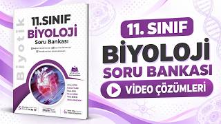 Biyotik 11. Sınıf Biyoloji Soru Bankası Çözümleri