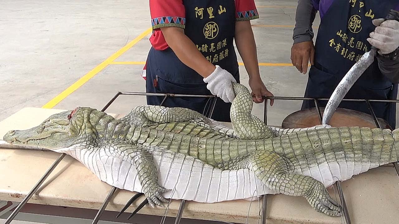 How to Fillet, Debone and Skin an Alligator Taiwanese street food