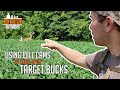 Using CELLULAR cameras to close in on target bucks!
