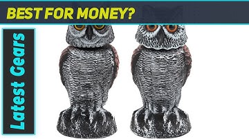 Scare Birds Away Effectively with Rotating Head Owl Decoys - Best Bird Deterrent for Gardens