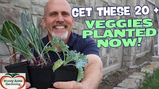 You Need to Plant These Veggies in April
