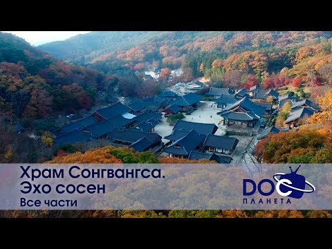 Храм Сонгвангса. Эхо сосен. Все части - Документальный фильм