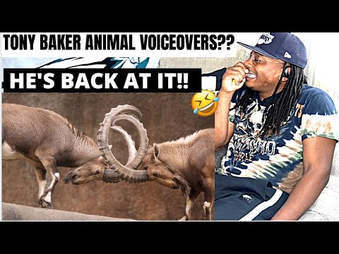 TOOK MY BREATH AWAY!!..| TONY BAKER ANIMAL VOICEOVERS *VERY FUNNY*😂 REACTION