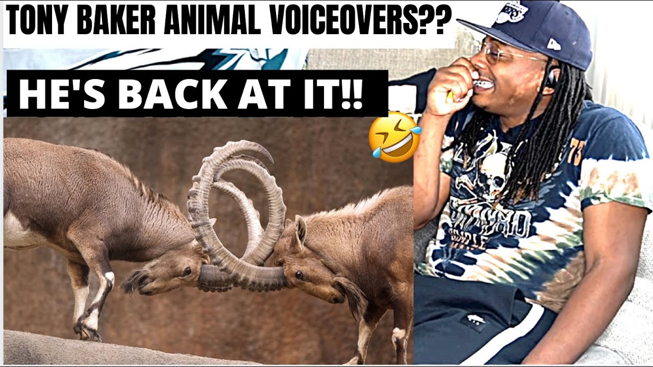 TOOK MY BREATH AWAY!!..| TONY BAKER ANIMAL VOICEOVERS *VERY FUNNY*😂 REACTION