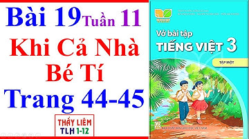Vở Bài Tập Tiếng Việt Lớp 3 Bài 19 Tuần 11 | Khi Cả Nhà Bé Tí | Trang 44 - 45 | Kết Nối Tri Thức