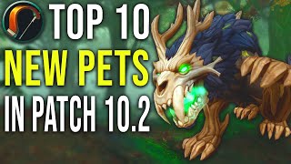Top 10 New Hunter Pets Added in 10.2 Guardians of the Dream WoW
