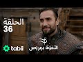 الأخوة بربروس الحلقة 36 