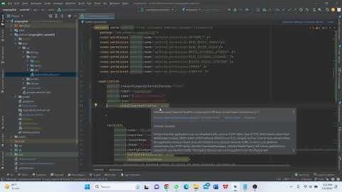 PlatformException VideoError, Video player had error  Flutter Cleartext HTTP traffic not permitted: