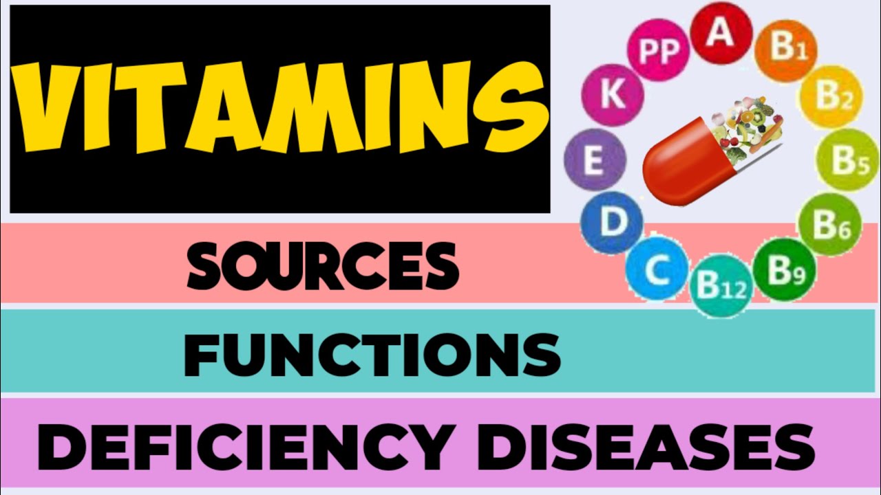 VITAMINS Sources, functions & Deficiency diseases class6