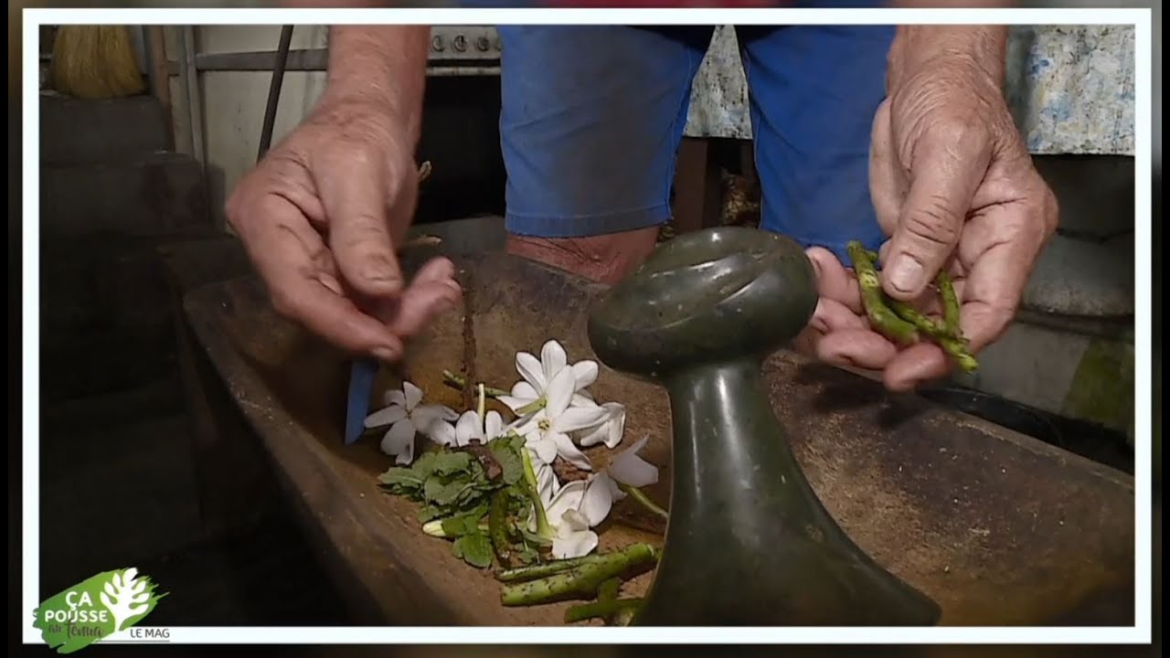 Ça pousse au fenua - Le Mag : Rauu