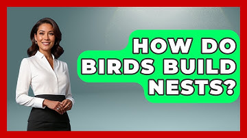 How Do Birds Build Nests? - Exploring Campgrounds