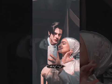 my daily life video