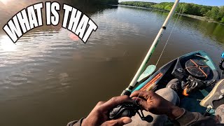 I Have NEVER HOOKED THIS creature before ! KAYAK FISHING a creek (we found GERTRUDE)