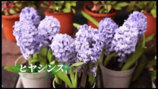 『それでも花は咲いていく』 予告編