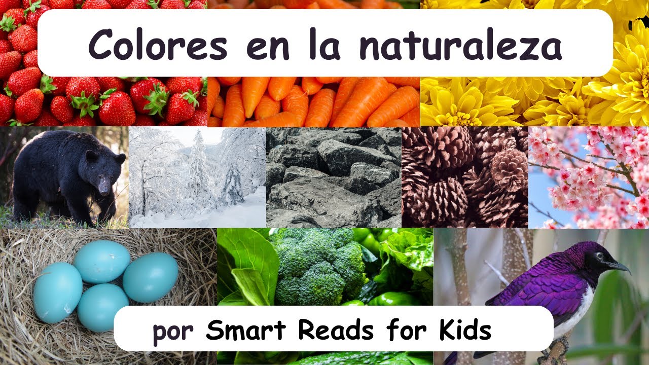 Learn color words, Spanish and English from nature. Aprende palabras de colores en español e inglés.