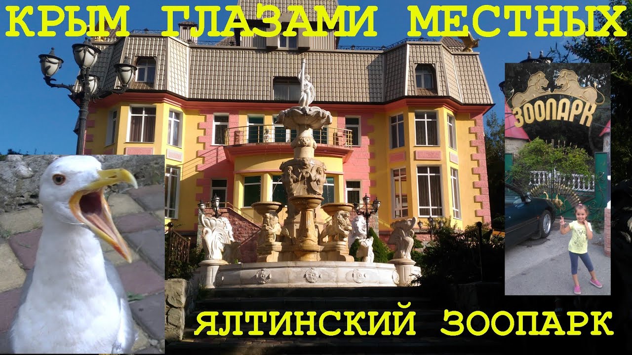 Зоопарк "Сказка" Ялта 2016 | Чайке - ОСКАР)) - YouTube