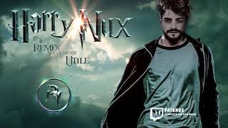 HarryNux e il Remix socialmente utile - Patanux (Remix SU) twitch remix harrypotter patanux