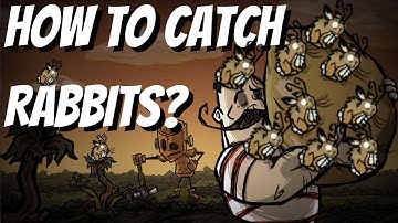 How To Catch Rabbits in Don