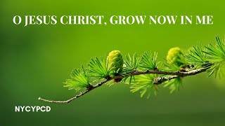 O Jesus Christ, Grow Thou in Me