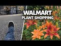 Sad Visit to Tractor Supply… So I Tried Walmart