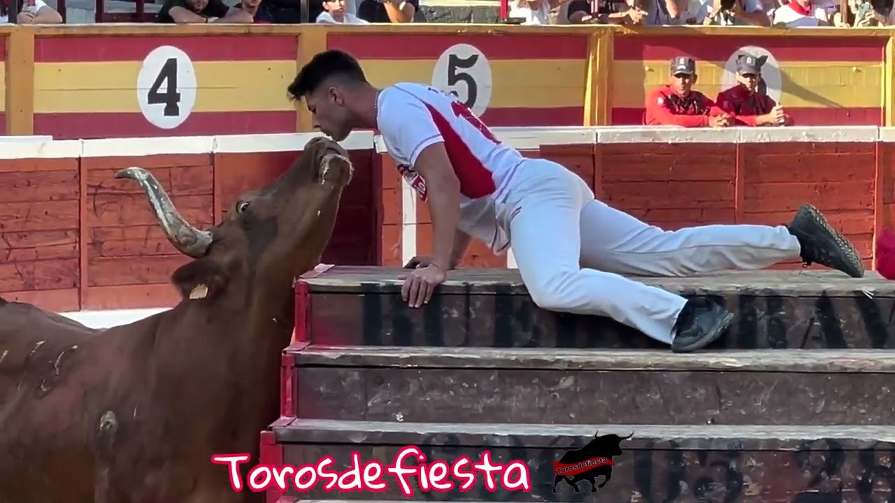 Tudela toro rompe las tablas. Bravura Ganadería Arriazu