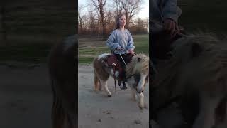 Callie riding 'Buddy' gelding pony