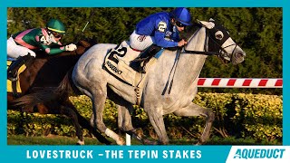 Vidéo de la course PMU TEPIN STAKES