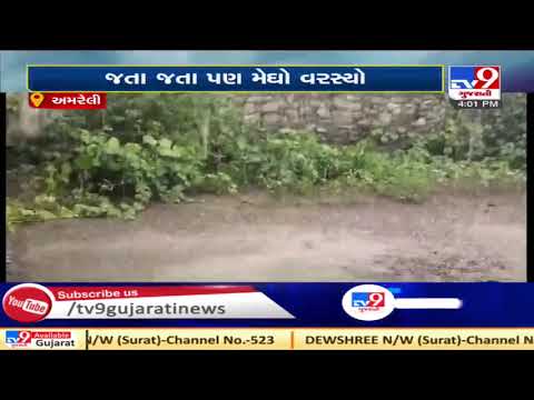 Rajula and nearby regions received rain showers, Amreli | Tv9GujaratiNews