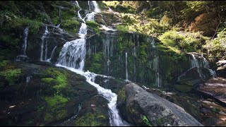 The Neal Morse Band - Waterfall w/lyrics