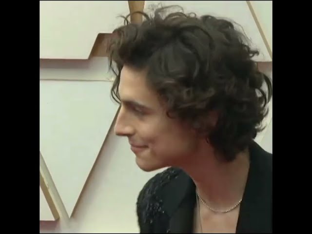 EDIT | Timothée Chalamet and Zendaya on the Red Carpet For The Oscars 2022