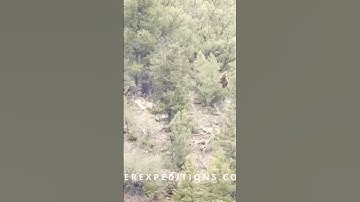 Bigfoot Sighting Upper Colorado River 5/24/2025