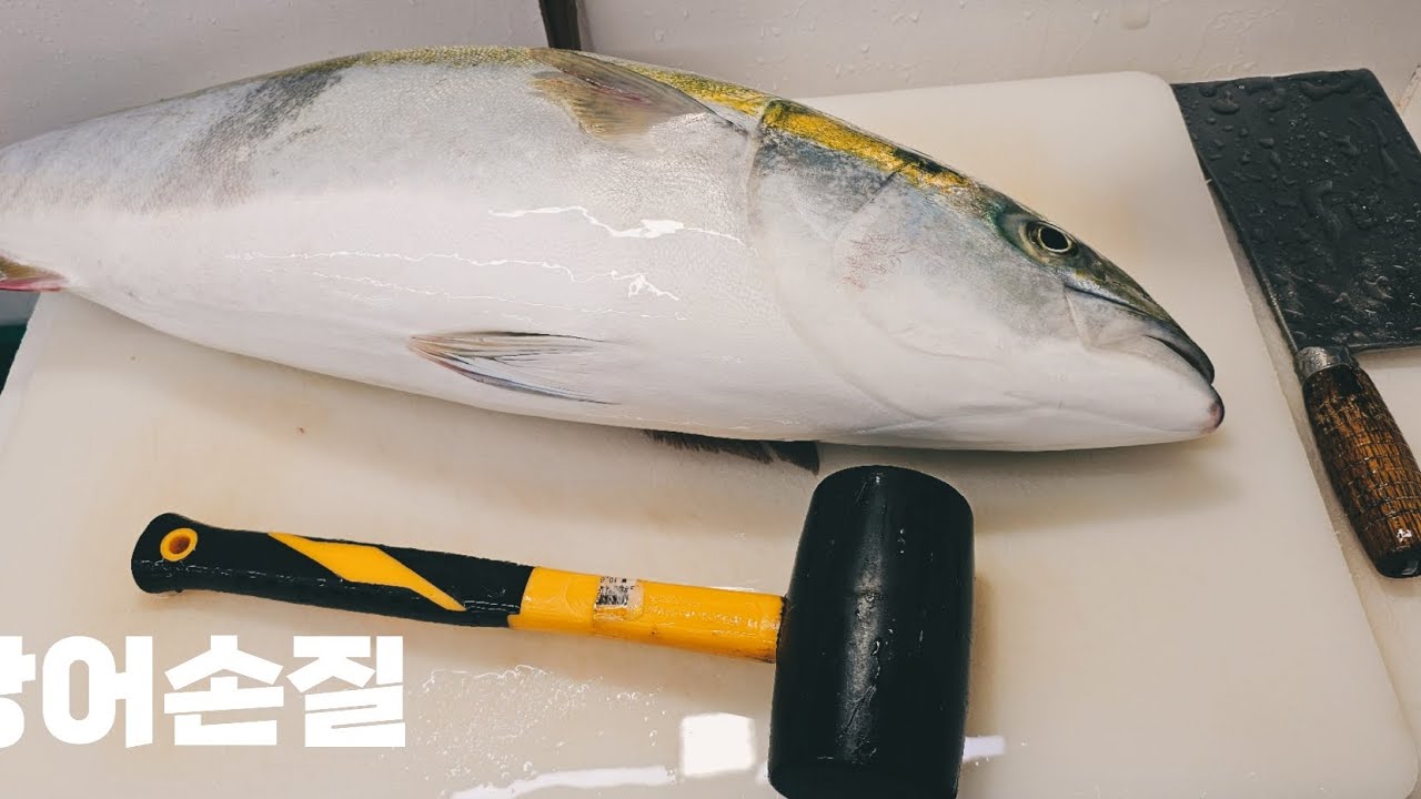 방어 손질부터  방어회 한접시 회뜨기 #생선손질 