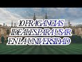10 FRAGANCIAS IDEALES PARA USAR EN LA UNIVERSIDAD 🏫🎓
