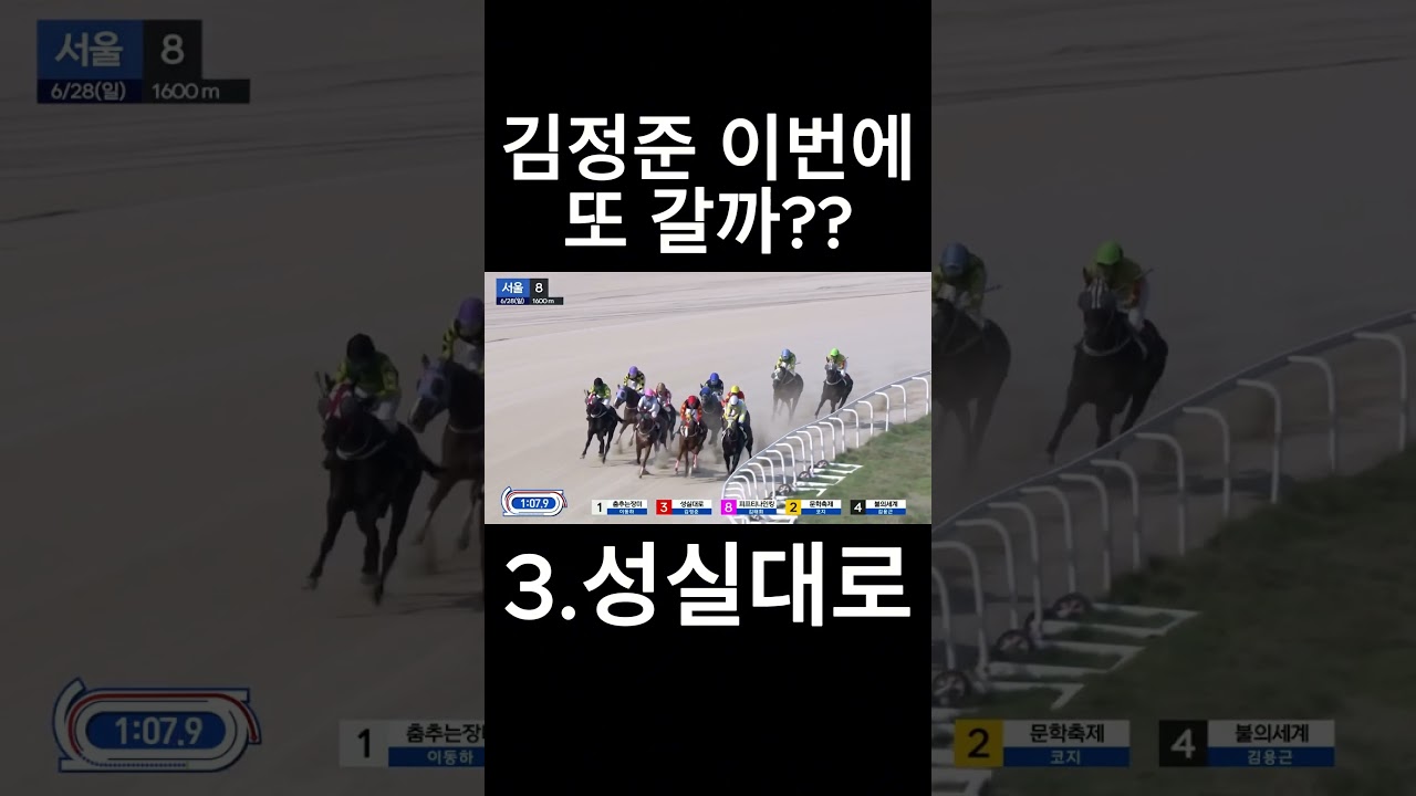 이번에 또 갈까??   #경마  #경마예상  #경마방송  #경마예상방송  #서울경마  #금요경마  #토요경마  #일요경마 #경마장