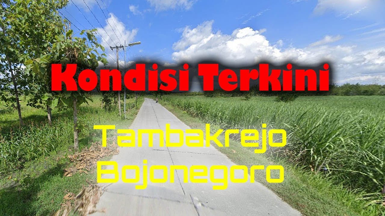 Kondisi terkini Kecamatan Tambakrejo, Bojonegoro